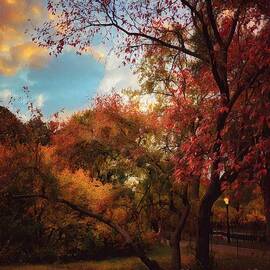 Autumn in New York - Central Park in Fall by Miriam Danar