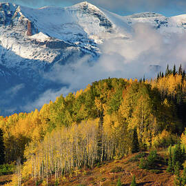 Autumn Pradise In The West Elk Mountains by John De Bord