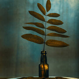 Autumn Sorrow by Nikki Georgieva V E G A N I K