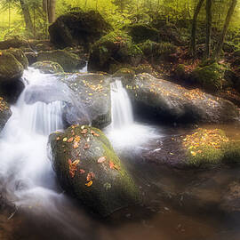 Autumn Sounds by Burger Jochen