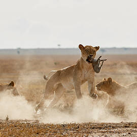 Bacon For Breakfast by Peter Hudson