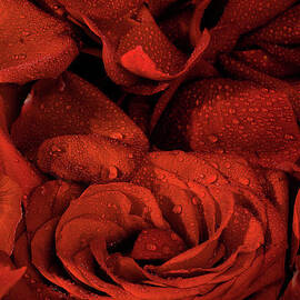 Basket Of Rose Petals by Mike Eingle
