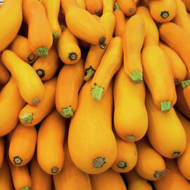 Basket Of Yellow Zucchini by Fotog