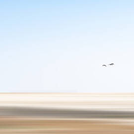 Behind The Birds by Rolf Endermann