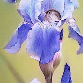 Blue Irises with Sleeping Baby Mouse by Alina Oseeva