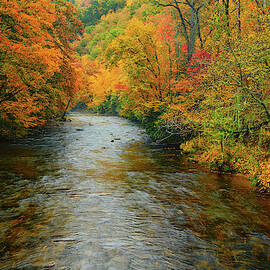 Blue Ridge Autumn by Greg Norrell