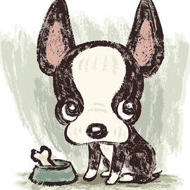 Boston Terrier by Toru-sanogawa