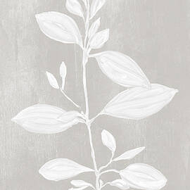 Botanical Study Viii Neutral by Julia Purinton