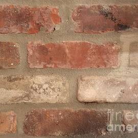 Barnyard Bricks by Joseph Baril