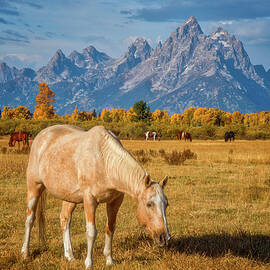 Breakfast In The Tetons by Darren White Photography