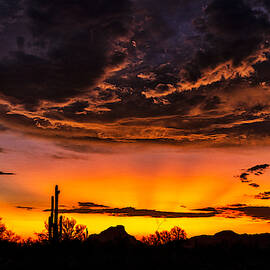 Brilliant Desert Skies At Sunset  by Saija Lehtonen