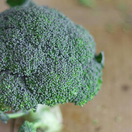 Broccoli by Karolina Nicpon