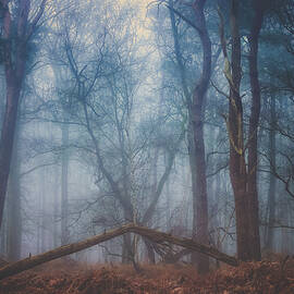Broken by Hilda Van Der Lee