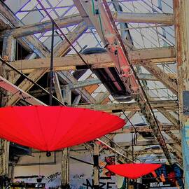 Brolly