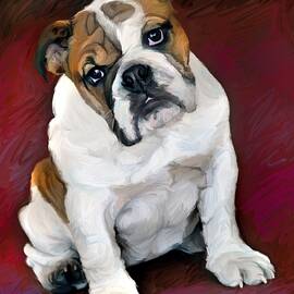 Bulldog Baby by Robert Mcclintock