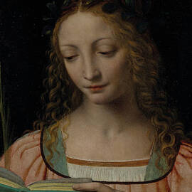 Bust length figure of saint, with a palm and reading the scriptures by Bernardino Luini