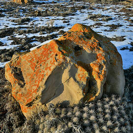 Cactus and Boulder Beneath Book Cliffs by Ray Mathis