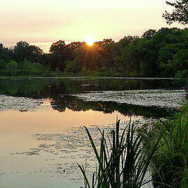 Calm Sunset by Lyuba Filatova