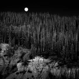 Canyon Moon by Grant Sorenson