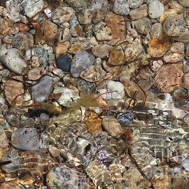 Cape Cod Waterscape