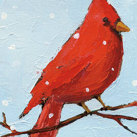 Cardinal I by Phyllis Adams