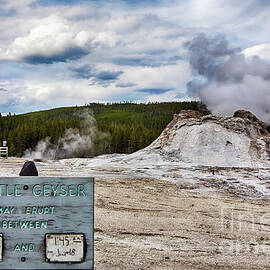 Castle Geyser in Yellowstone may erupt by Tatiana Travelways