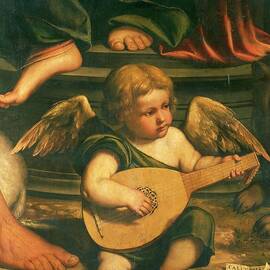 Cherub Musician Detail Of Virgin And Child With St John The Baptist And St Jerome Callisto Piazza Died In Or Oil And Tempera On Canvas Italy by Anonymous Artist
