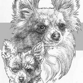 Chihuahua - Longhair - and Pup by Barbara Keith
