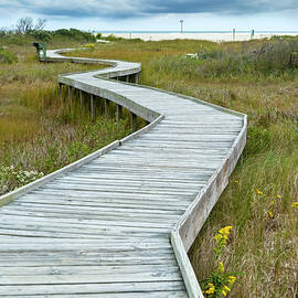 Chincoteague National Wildlife Refuge by Drnadig