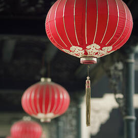 Chinese Lanterns by Dave Bowman