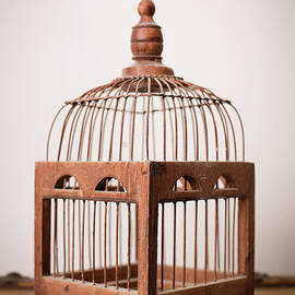Close Up, Color Image Of Vintage Bird by Ideabug
