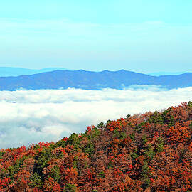 Clouds Over Fall Trees by Constance Lowery