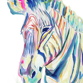 Colorful Zebra by Andy Beauchamp