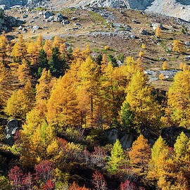 Colors of fall - 11 - French Alps by Paul MAURICE