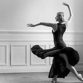 Controlled Passion by Luc Stalmans