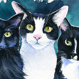 Cope Boys by Dora Hathazi Mendes