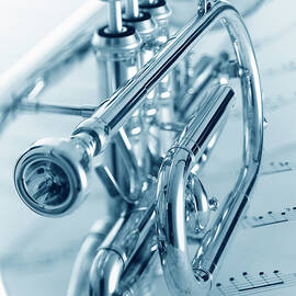 Cornet by Adam Gault