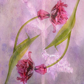 Creating A Loop by Hilda Van Der Lee