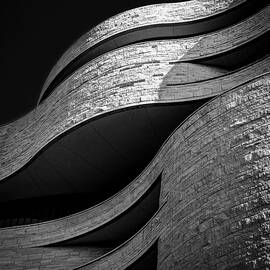 Curve, Shape, And Texture by Yan Zhao