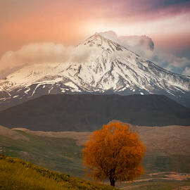 Damavand In Autumn by Hamed Qane