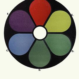 Darkened Shades Of The Primaries And Their Complementaries by James Ward