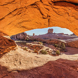Dead Horse Point, Canyonlands National by John Ford