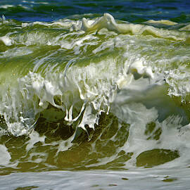 Playful Waves by Dianne Cowen Photography
