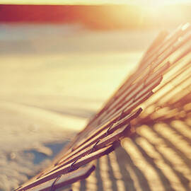 Dilapidated Beach Fence by Trina Dopp Photography
