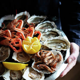 Dish With Mollusks & Crustaceans by Franco Cogoli