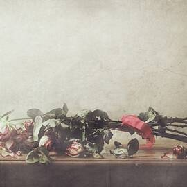 Disillusionment Of Valentin by Delphine Devos