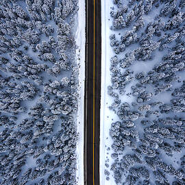 DIVIDED by Rand Ningali