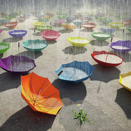 Downpour by Cynthia Decker
