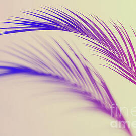 Pink feathers background Photograph by Michal Bednarek - Fine Art America