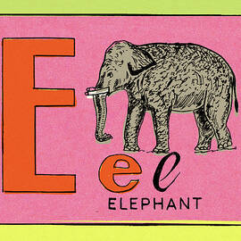 E is for Elephant by CSA Images